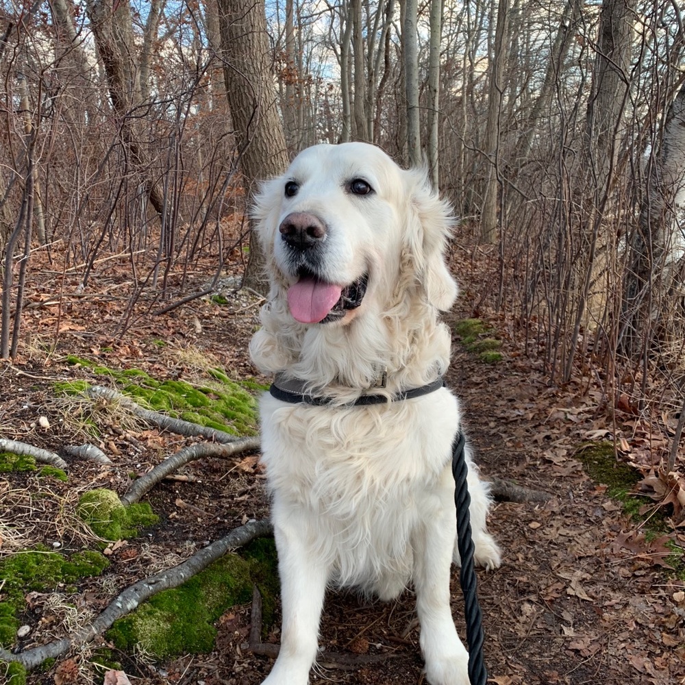 Meet your Posher, Carina